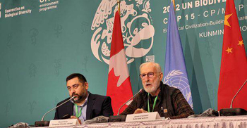 Avaaz calls for action to stop extinction crisis as COP15 reaches endgame