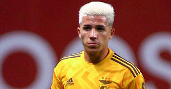 Chelsea's pursuit of Benfica's Fernandez 'closed'