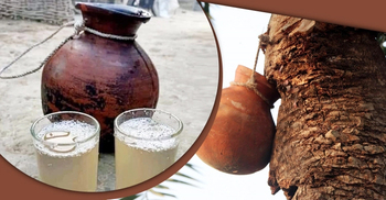 Raw date juice unsafe, may create disaster: IEDCR