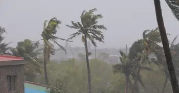 Cyclone Freddy death toll surpasses 300 as Mozambique counts bodies