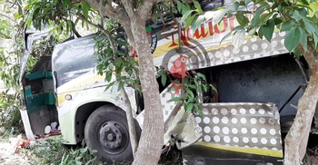 Siblings among 7 killed in Natore triangular collision