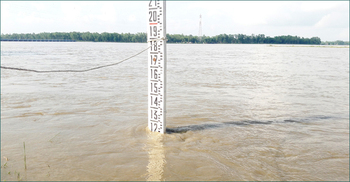 তিস্তার পানি বিপৎসীমার কাছাকাছি, আতঙ্কে ৬৩ চরের মানুষ