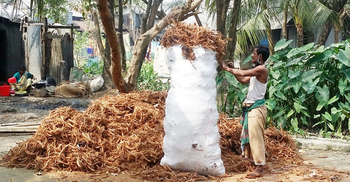 হুমকির মুখে নারিকেলকেন্দ্রিক পাঁচ শিল্প