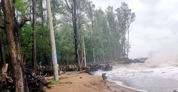 কক্সবাজারে জোয়ারে বিলীন হচ্ছে বালিয়াড়ি-ঝাউবাগান