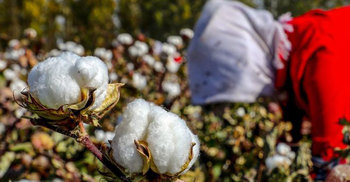 US to block some exports citing China’s human rights abuses