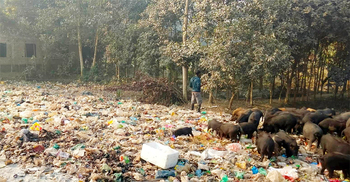 পৌরসভার ময়লায় বিপর্যস্ত ইউনিয়নবাসীর জীবন