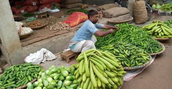 বাগাতিপাড়ার বাজারে সবজি বেশি, দাম কম