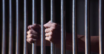 স্ত্রীর যৌতুক মামলায় প্যানেল চেয়ারম্যান কারাগারে