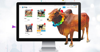 কোরবানির পশুর ভার্চুয়াল হাটের খোঁজখবর