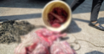 হরিণের মাংস উদ্ধারে গিয়ে হামলার শিকার বন কর্মকর্তাসহ ৪