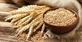 Bangladesh explores alternative sources for wheat import