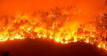 Wildfires likely to increase by a third by 2050, warns UN