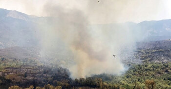 65 killed in Algerian wildfires, Greece and Italy burn