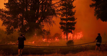 23 dead as dozens of wildfires torch forests in Chile