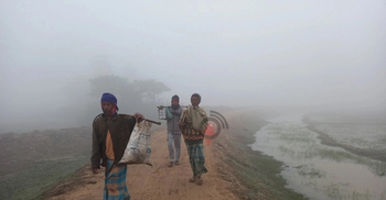 Mild cold wave may continue in parts of country