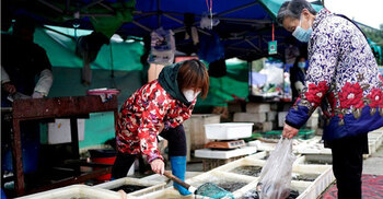 Covid: WHO to investigate virus origins in China’s Wuhan