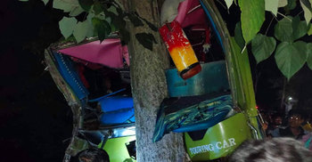 নিয়ন্ত্রণ হারিয়ে গাছের সঙ্গে বাসের ধাক্কা, আহত ২