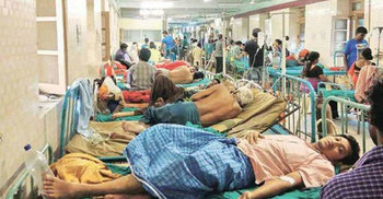 ২৪ ঘণ্টায় ডেঙ্গু আক্রান্ত ৩০০ জন