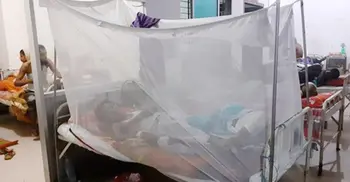 Dengue claims man’s life in Barishal