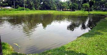 নীলফামারীতে পুকুরে ডুবে ২ বছরের শিশুর মৃত্যু