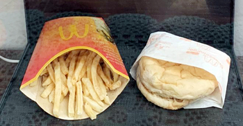 ১০ বছরেও নষ্ট হয়নি ম্যাকডোনাল্ডসের চিজবার্গার