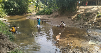 মাধবকুণ্ড জলপ্রপাতের পানি এখন বিষমুক্ত, একজন গ্রেফতার