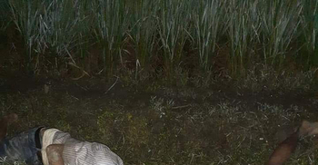 ইঁদুর মারার ফাঁদে আটকে প্রাণ গেল চাচা-ভাতিজার