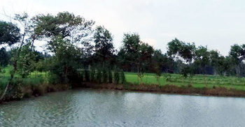 পুকুরে নৌকায় ঘুরতে গিয়ে দুই ভাইয়ের মৃত্যু