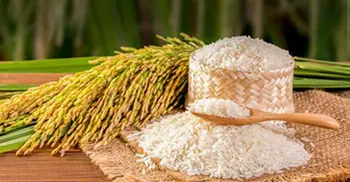 Abed invents ‘Sonali Rice’ for Diabetes patients