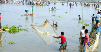 বুড়ির বাঁধে মাছ ধরার উৎসব