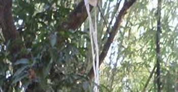 শিশুর সঙ্গে এ কেমন নিষ্ঠুরতা