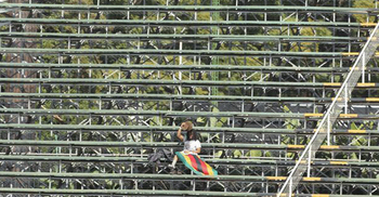 No Cricketer Involved In Rape Case in Zimbabwe: Foreign Ministry