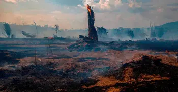 Amazon fires: 7 countries sign forest protection pact