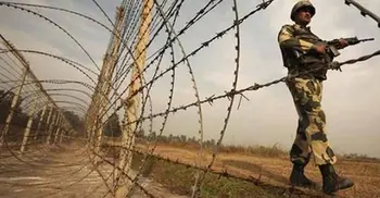 BSF shoots Bangladeshi along Thakurgaon border