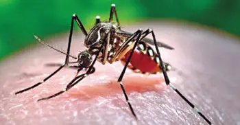 US issues travel notice after ‘distressing’ Dengue developments