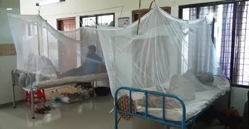 Woman dies of dengue in Barishal