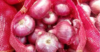 ভারতের পেঁয়াজ রফতানি বন্ধে বাংলাদেশে প্রভাব