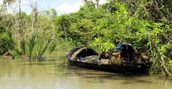 সুন্দরবনে তিনদিনে ১৪ জেলে অপহৃত