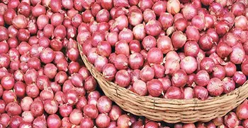Indian govt bans export of onions