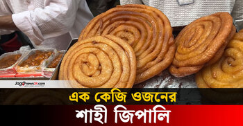 বিশাল আকারের শাহী জিপালি