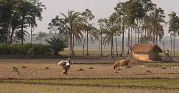 আবহাওয়ার খবর | বুধবার, ২৫ মার্চ ২০২৬