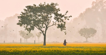 আবহাওয়ার খবর | বুধবার, ২১ জানুয়ারি ২০২৬