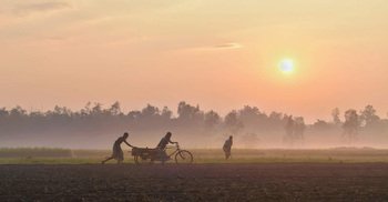 আবহাওয়ার খবর | শুক্রবার, ১৬ জানুয়ারি ২০২৬