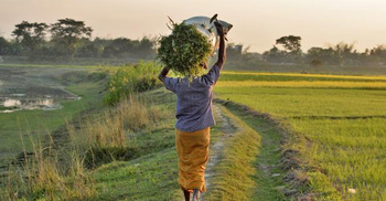 আবহাওয়ার খবর | মঙ্গলবার, ১০ ফেব্রুয়ারি ২০২৬