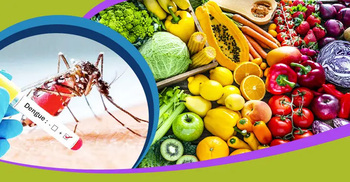 ডেঙ্গু থেকে সেরে ওঠার পর কী খাবেন?