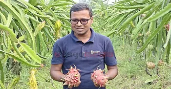 চাকরি না পেয়ে উদ্যোক্তা হলেন নাঈম, ড্রাগনেই বাজিমাত
