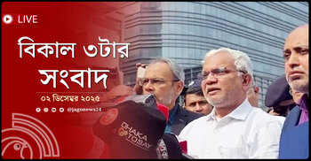 বিকাল ৩টার নিউজ আপডেট | মঙ্গলবার, ০২ ডিসেম্বর ২০২৫