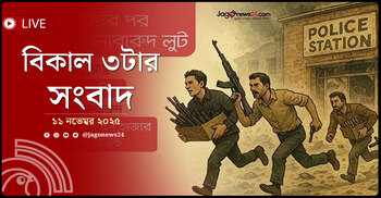 বিকাল ৩টার নিউজ আপডেট | মঙ্গলবার, ১১ নভেম্বর ২০২৫