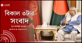 বিকাল ৩টার নিউজ আপডেট | শুক্রবার, ১৪ নভেম্বর ২০২৫
