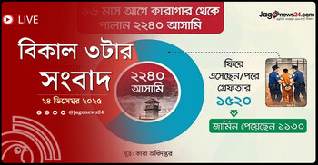 বিকাল ৩টার নিউজ আপডেট | বুধবার, ২৪ ডিসেম্বর ২০২৫